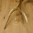 Schnapsanbieter 6 kleine Gläser Steckglas mit Stiel auf Rothirschstange Geschenk 27.60.2.42