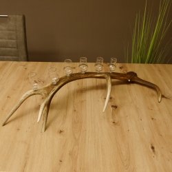 Schnapsanbieter 6 kleine Gläser Steckglas mit Stiel auf Rothirschstange Geschenk 27.60.2.42