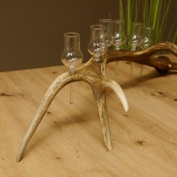 Schnapsanbieter 6 kleine Gläser Steckglas mit Stiel auf Rothirschstange Geschenk 27.60.2.42