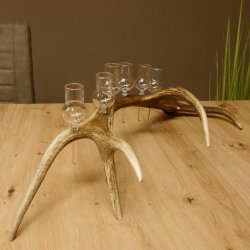 Schnapsanbieter 6 kleine Gläser Steckglas mit Stiel auf Rothirschstange Geschenk 27.60.2.42