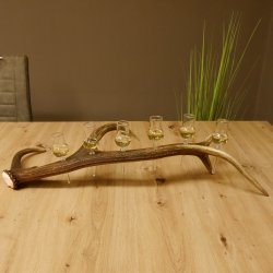 Schnapsanbieter 6 kleine Gläser Steckglas mit Stiel auf Rothirschstange Geschenk 27.60.2.42