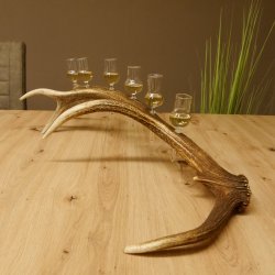 Schnapsanbieter 6 kleine Gläser Steckglas mit Stiel auf Rothirschstange Geschenk 27.60.2.42