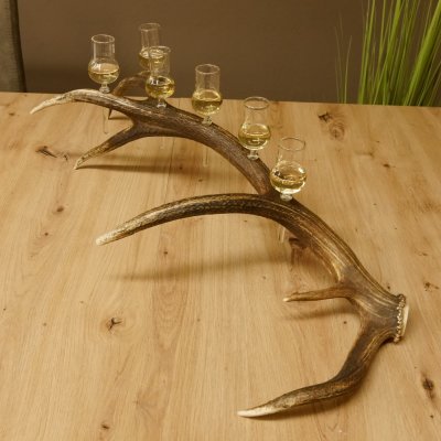 Schnapsanbieter 6 kleine Gläser Steckglas mit Stiel auf Rothirschstange Geschenk 27.60.2.43