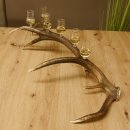 Schnapsanbieter 6 kleine Gläser Steckglas mit Stiel auf Rothirschstange Geschenk 27.60.2.43
