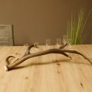 Schnapsanbieter 6 kleine Gläser Steckglas mit Stiel auf Rothirschstange Geschenk 27.60.2.43