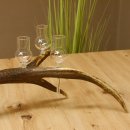 Schnapsanbieter 6 kleine Gläser Steckglas mit Stiel auf Rothirschstange Geschenk 27.60.2.43