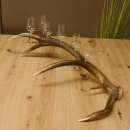 Schnapsanbieter 6 kleine Gläser Steckglas mit Stiel auf Rothirschstange Geschenk 27.60.2.43