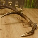 Schnapsanbieter 6 kleine Gläser Steckglas mit Stiel auf Rothirschstange Geschenk 27.60.2.43