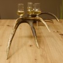 Schnapsanbieter 6 kleine Gläser Steckglas mit Stiel auf Rothirschstange Geschenk 27.60.2.43