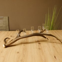 Schnapsanbieter 6 kleine Gläser Steckglas mit Stiel auf Rothirschstange Geschenk 27.60.2.43