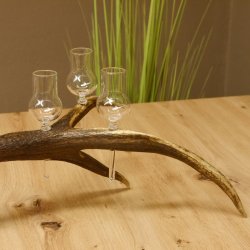 Schnapsanbieter 6 kleine Gläser Steckglas mit Stiel auf Rothirschstange Geschenk 27.60.2.43