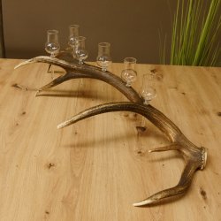 Schnapsanbieter 6 kleine Gläser Steckglas mit Stiel auf Rothirschstange Geschenk 27.60.2.43