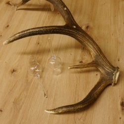 Schnapsanbieter 6 kleine Gläser Steckglas mit Stiel auf Rothirschstange Geschenk 27.60.2.43