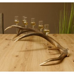 Schnapsanbieter 6 kleine Gläser Steckglas mit Stiel auf Rothirschstange Geschenk 27.60.2.43