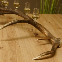 Schnapsanbieter 6 kleine Gläser Steckglas mit Stiel auf Rothirschstange Geschenk 27.60.2.43