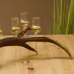 Schnapsanbieter 6 kleine Gläser Steckglas mit Stiel auf Rothirschstange Geschenk 27.60.2.43