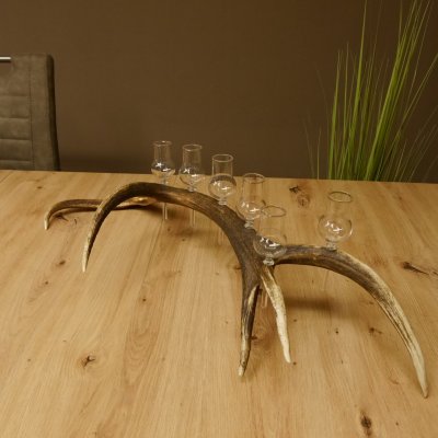 Schnapsanbieter 6 kleine Gläser Steckglas mit Stiel auf Rothirschstange Geschenk 27.60.2.44