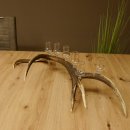 Schnapsanbieter 6 kleine Gläser Steckglas mit Stiel...