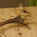 Schnapsanbieter 6 kleine Gläser Steckglas mit Stiel auf Rothirschstange Geschenk 27.60.2.44