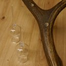 Schnapsanbieter 6 kleine Gläser Steckglas mit Stiel auf Rothirschstange Geschenk 27.60.2.44