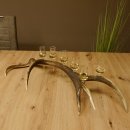 Schnapsanbieter 6 kleine Gläser Steckglas mit Stiel auf Rothirschstange Geschenk 27.60.2.44