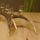 Schnapsanbieter 6 kleine Gläser Steckglas mit Stiel auf Rothirschstange Geschenk 27.60.2.44