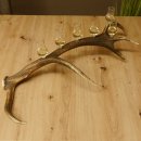 Schnapsanbieter 6 kleine Gläser Steckglas mit Stiel auf Rothirschstange Geschenk 27.60.2.44