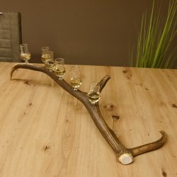 Schnapsanbieter 6 kleine Gläser Steckglas mit Stiel auf Rothirschstange Geschenk 27.60.2.44