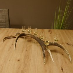 Schnapsanbieter 6 kleine Gläser Steckglas mit Stiel auf Rothirschstange Geschenk 27.60.2.44