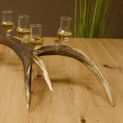 Schnapsanbieter 6 kleine Gläser Steckglas mit Stiel auf Rothirschstange Geschenk 27.60.2.44