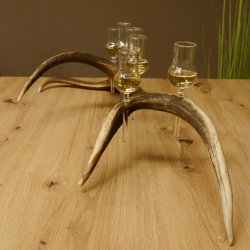 Schnapsanbieter 6 kleine Gläser Steckglas mit Stiel auf Rothirschstange Geschenk 27.60.2.44