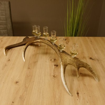 Schnapsanbieter 6 kleine Gläser Steckglas mit Stiel auf Rothirschstange Geschenk 27.60.2.45