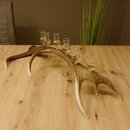 Schnapsanbieter 6 kleine Gläser Steckglas mit Stiel...