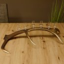 Schnapsanbieter 6 kleine Gläser Steckglas mit Stiel auf Rothirschstange Geschenk 27.60.2.45