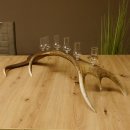 Schnapsanbieter 6 kleine Gläser Steckglas mit Stiel auf Rothirschstange Geschenk 27.60.2.45