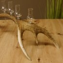 Schnapsanbieter 6 kleine Gläser Steckglas mit Stiel auf Rothirschstange Geschenk 27.60.2.45