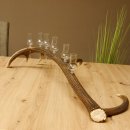 Schnapsanbieter 6 kleine Gläser Steckglas mit Stiel auf Rothirschstange Geschenk 27.60.2.45