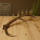 Schnapsanbieter 6 kleine Gläser Steckglas mit Stiel auf Rothirschstange Geschenk 27.60.2.45