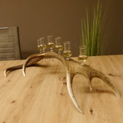 Schnapsanbieter 6 kleine Gläser Steckglas mit Stiel auf Rothirschstange Geschenk 27.60.2.45