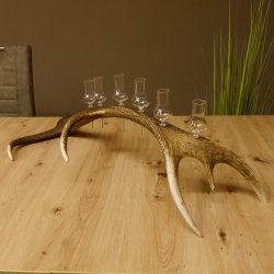Schnapsanbieter 6 kleine Gläser Steckglas mit Stiel auf Rothirschstange Geschenk 27.60.2.45