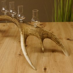 Schnapsanbieter 6 kleine Gläser Steckglas mit Stiel auf Rothirschstange Geschenk 27.60.2.45