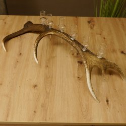 Schnapsanbieter 6 kleine Gläser Steckglas mit Stiel auf Rothirschstange Geschenk 27.60.2.45