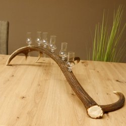 Schnapsanbieter 6 kleine Gläser Steckglas mit Stiel auf Rothirschstange Geschenk 27.60.2.45