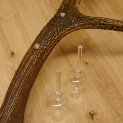 Schnapsanbieter 6 kleine Gläser Steckglas mit Stiel auf Rothirschstange Geschenk 27.60.2.45