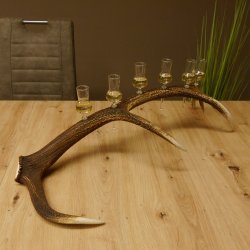 Schnapsanbieter 6 kleine Gläser Steckglas mit Stiel auf Rothirschstange Geschenk 27.60.2.45