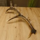 Schnapsanbieter 8 kleine Gläser Steckglas mit Stiel auf Rothirschstange Geschenk 27.60.2.46