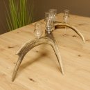 Schnapsanbieter 8 kleine Gläser Steckglas mit Stiel auf Rothirschstange Geschenk 27.60.2.46