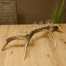 Schnapsanbieter 8 kleine Gläser Steckglas mit Stiel auf Rothirschstange Geschenk 27.60.2.46