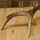 Schnapsanbieter 8 kleine Gläser Steckglas mit Stiel auf Rothirschstange Geschenk 27.60.2.46