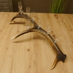 Schnapsanbieter 8 kleine Gläser Steckglas mit Stiel auf Rothirschstange Geschenk 27.60.2.46